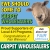 Ask About Our Fair Specials!
