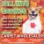 Fall Into Savings - Best Price in the Area for Waterproof Flooring!