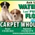 Ask Us About Waterproof (and Puppy Proof) Flooring