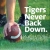 Tigers Never Back Down. Civista Helps You Move Forward.