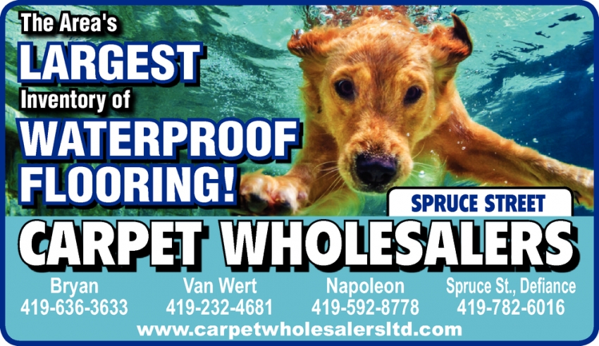 The Area's Largest Inventory Of Waterproofing Flooring!