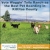 Vote Waggin' Tails Ranch as the Best Pet Boarding in Kittitas County