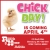 Chick Day!