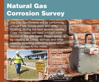 Natural Gas Corrosion Survey