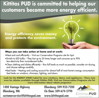 Energy Efficiency Saves Money and Protects the Environment