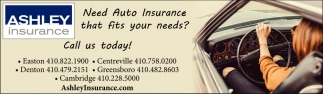 Need Auto Insurance That Fits Your Needs?