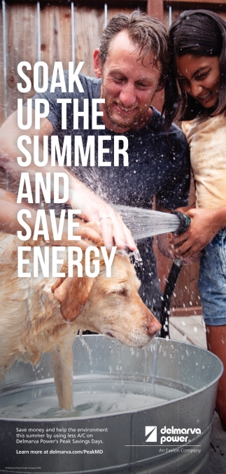 Soak Up The Summer and Save Energy