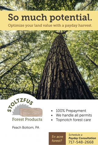 Optimize Your Land Value With a Payday Harvest