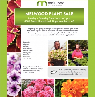 elwood Plant Sale