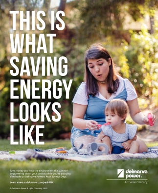 Soak Up The Summer and Save Energy