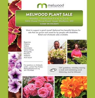 Melwood Plant Sale