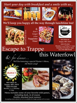 Escape To Trappe This Waterfowl