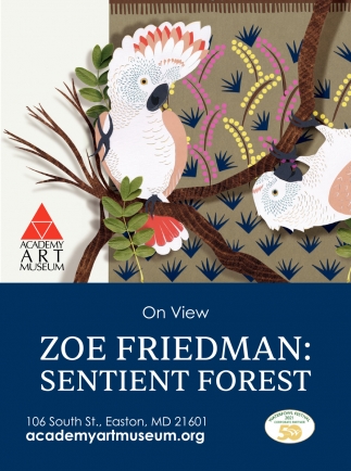 Zoe Friedman: Sentient Forest