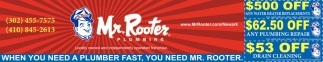 When You Need  A Plumber Fast, You Need Mr. Rooter