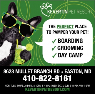 The Perfect Place to Pamper Your Pet