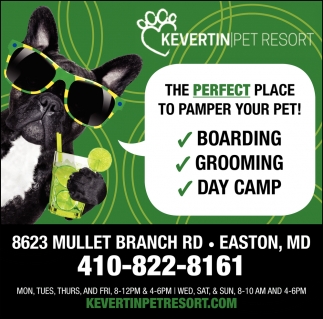 The Perfect Place to Pamper Your Pet