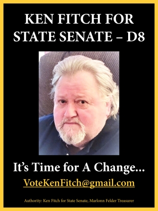 State Senate - D8