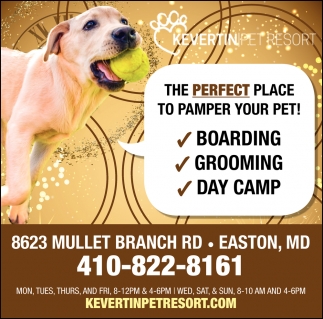 The Perfect Place To Pamper Your Pet