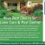 You Best Choice for Lawn Care & Pest Control