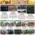 Active Listings