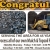 Premium Bark Mulch