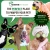 The Perfect Place to Pamper Your Pet!