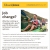 Financial Advisor