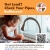 Got Lead? Check Your Pipes, Baltimore!