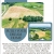 Build Your Dream Home