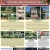 Active Listings