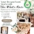 Your Dream Event Starts with The White Rose