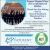 Expert Dental Care for A Lifetime of Smiles