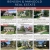 Open Houses & New Listings