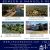 Real Estate Listings