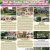 Active Listings