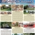 Active Listings