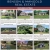 Featured Listings