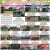 Active Listings