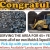Premium Bark Mulch
