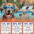Pet Store