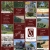 Real Estate Services