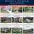 Open Houses & Featured Listings