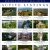 Active Listings