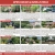 Open Houses & New Listings