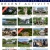 Real Estate Services