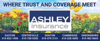 Ashley Insurance