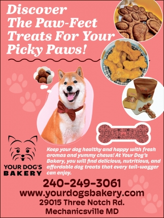 Your Dog's Bakery