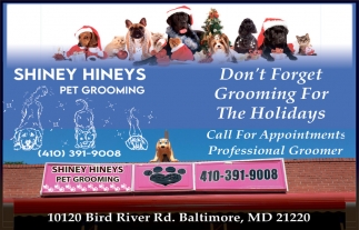 Shiney Hineys Pet Grooming