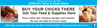 Gifford's Farm And Feed Store