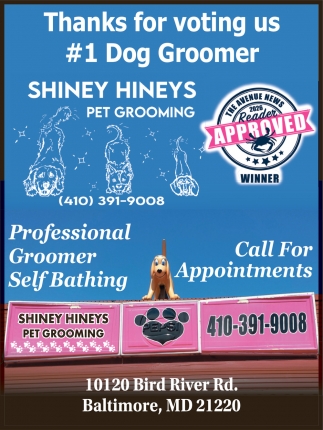 Shiney Hineys Pet Grooming